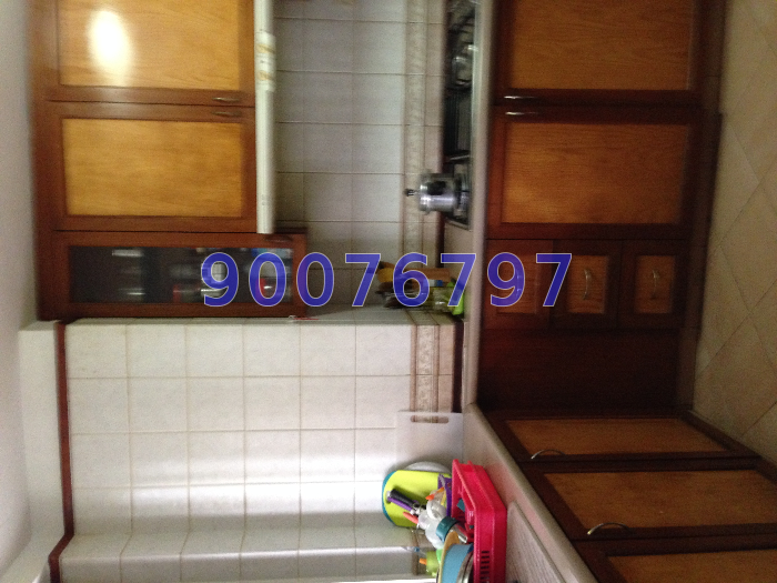 Parc Vista (D22), Condominium #9256072